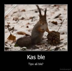 Kas ble - Tipo aš ble?