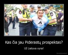 Kas čia jau Piderastų prospektas? - Už Lietuva vyrai!