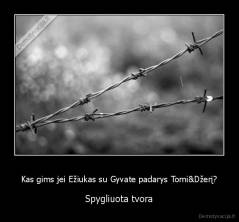 Kas gims jei Ežiukas su Gyvate padarys Tomi&Džerį? - Spygliuota tvora