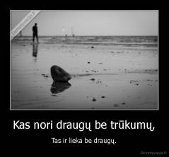 Kas nori draugų be trūkumų, - Tas ir lieka be draugų.