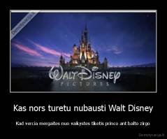 Kas nors turetu nubausti Walt Disney - Kad vercia mergaites nuo vaikystes tiketis princo ant balto zirgo