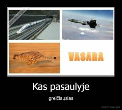 Kas pasaulyje - greičiausias