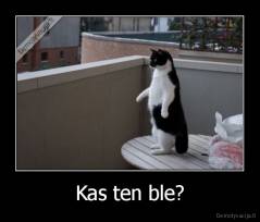 Kas ten ble? - 