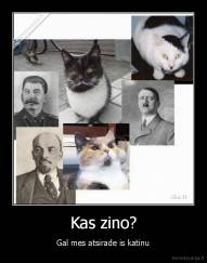 Kas zino? - Gal mes atsirade is katinu