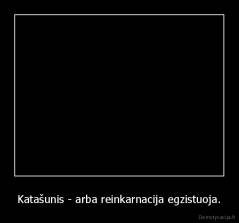 Katašunis - arba reinkarnacija egzistuoja. - 