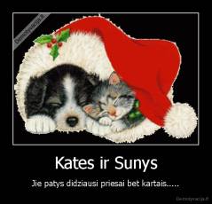 Kates ir Sunys - Jie patys didziausi priesai bet kartais.....