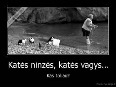 Katės ninzės, katės vagys... - Kas toliau?