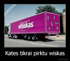 Kates tikrai pirktu wiskas - 