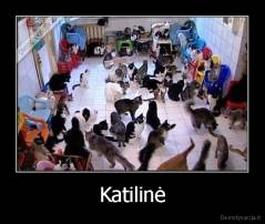 Katilinė - 