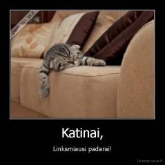 Katinai, - Linksmiausi padarai!