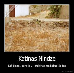 Katinas Nindzė - Kol jį rasi, tave jau i atskirus maišelius delios