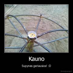 Kauno - Supynes geriausios! :D