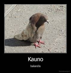 Kauno - balandis