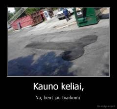 Kauno keliai, - Na, bent jau tvarkomi 