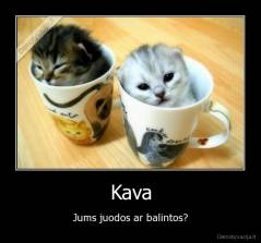 Kava - Jums juodos ar balintos?