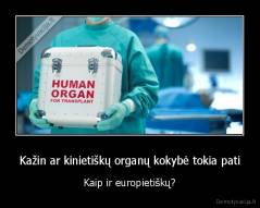 Kažin ar kinietiškų organų kokybė tokia pati - Kaip ir europietiškų?