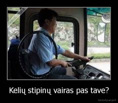 Kelių stipinų vairas pas tave? - 