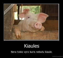 Kiaules - Nera tokio vyro kuris nebutu kiaule.