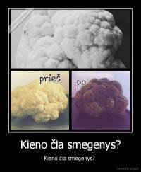 Kieno čia smegenys? - Kieno čia smegenys? 