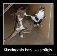 Klastingasis barsuko smūgis. - 