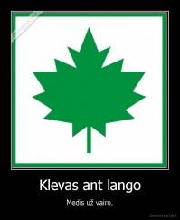 Klevas ant lango - Medis už vairo.