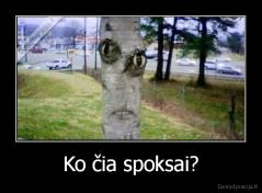 Ko čia spoksai? - 