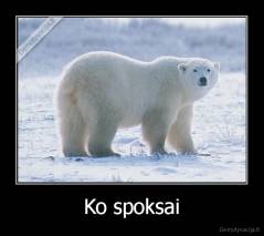 Ko spoksai - 