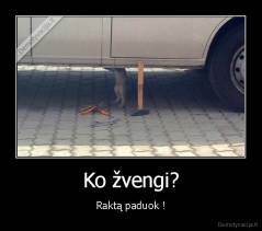 Ko žvengi? - Raktą paduok !