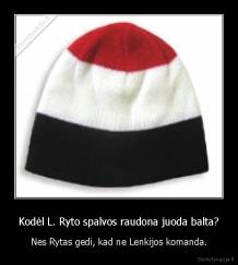 Kodėl L. Ryto spalvos raudona juoda balta? - Nes Rytas gedi, kad ne Lenkijos komanda.