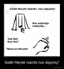 Kodėl Marytė nukrito nuo sūpynių? - 