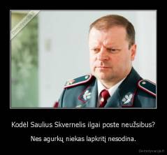 Kodėl Saulius Skvernelis ilgai poste neužsibus? - Nes agurkų niekas lapkritį nesodina.