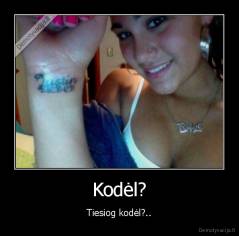 Kodėl? - Tiesiog kodėl?..