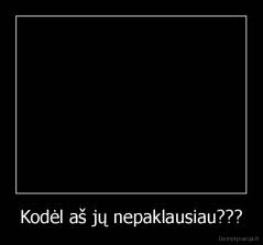 Kodėl aš jų nepaklausiau??? - 