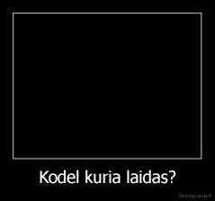 Kodel kuria laidas? - 