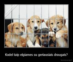 Kodel taip elgiames su geriausiais draugais? - 