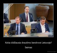 Kokia didžiausia draudimo bendrovė Lietuvoje? - Seimas