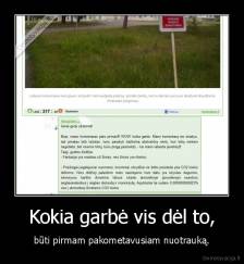 Kokia garbė vis dėl to, - būti pirmam pakometavusiam nuotrauką.