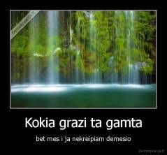 Kokia grazi ta gamta - bet mes i ja nekreipiam demesio