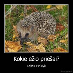 Kokie ežio priešai? - Labas ir Pildyk