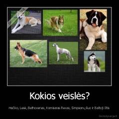 Kokios veislės? - Hačiko, Lesė, Bethovenas, Komisaras Rexas, Simpsonų šuo ir Baltoji Iltis