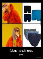 Kokius maudimukus  - paimt? 