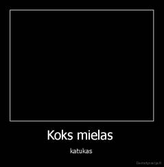 Koks mielas  - katukas 