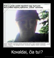 Kovaldai, čia tu!? - 