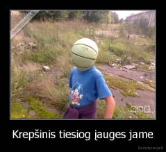 Krepšinis tiesiog įauges jame - 