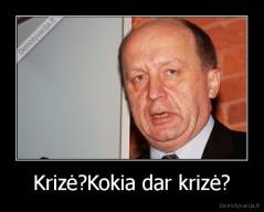 Krizė?Kokia dar krizė? - 