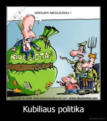 Kubiliaus politika - 