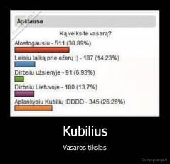 Kubilius - Vasaros tikslas