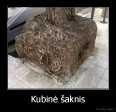 Kubinė šaknis - 