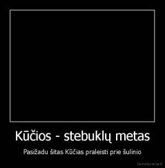 Kūčios - stebuklų metas - Pasižadu šitas Kūčias praleisti prie šulinio