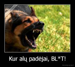 Kur alų padėjai, BL*T! - 